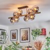 Ripoll ceiling light, globe light gold, black, 8-light sources