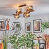 Ripoll ceiling light, globe light gold, black, 8-light sources