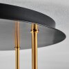 Gastor ceiling light, globe light brass, black, 5-light sources