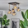 Ripoll ceiling light, globe light gold, black, 5-light sources