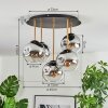 Ripoll ceiling light, globe light brass, black, 5-light sources