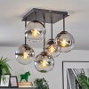 Gastor ceiling light, globe light clear, Smoke-coloured, 5-light sources