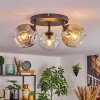 Ripoll ceiling light, globe light Amber, clear, Smoke-coloured, 3-light sources