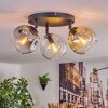 Ripoll ceiling light, globe light Amber, clear, Smoke-coloured, 3-light sources