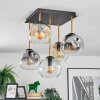 Ripoll ceiling light, globe light gold, black, 5-light sources