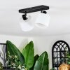 Bassagoda ceiling light, ceiling spotlight black, 2-light sources