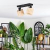 Cavaca ceiling light, ceiling spotlight black, 2-light sources