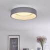 LAUSANNE Ceiling Light LED white, 1-light source, Remote control