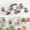 Ripoll ceiling light, globe light gold, black, 10-light sources