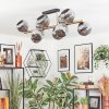 Ripoll ceiling light, globe light gold, black, 10-light sources