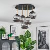 Ripoll ceiling light, globe light brass, black, 5-light sources
