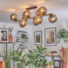Ripoll ceiling light, globe light gold, black, 10-light sources