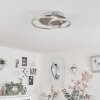 MOHLIN Ceiling Light LED matt nickel, 1-light source