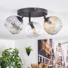 Ripoll ceiling light, globe light Amber, clear, Smoke-coloured, 3-light sources
