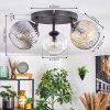 Ripoll ceiling light, globe light Amber, clear, Smoke-coloured, 3-light sources