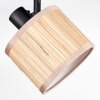 Bongal ceiling light, ceiling spotlight black, 4-light sources