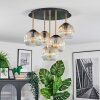 Ripoll ceiling light, globe light brass, black, 5-light sources
