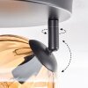 Koyoto ceiling light, globe light Amber, clear, Smoke-coloured, 3-light sources