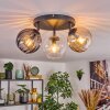 Koyoto ceiling light, globe light Amber, clear, Smoke-coloured, 3-light sources