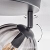 Koyoto ceiling light, globe light clear, Smoke-coloured, 3-light sources