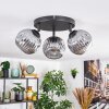 Ripoll ceiling light, globe light Smoke-coloured, 3-light sources