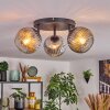 Ripoll ceiling light, globe light clear, Smoke-coloured, 3-light sources