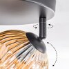 Koyoto ceiling light, globe light Amber, 3-light sources