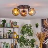 Ripoll ceiling light, globe light gold, clear, coppery, Smoke-coloured, 3-light sources