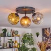Ripoll ceiling light, globe light gold, clear, coppery, Smoke-coloured, 3-light sources