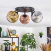 Ripoll ceiling light, globe light gold, clear, coppery, Smoke-coloured, 3-light sources