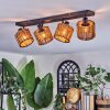 Cando ceiling light, ceiling spotlight black, 4-light sources