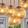 Ripoll ceiling light, globe light brass, black, 5-light sources