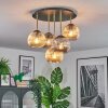 Ripoll ceiling light, globe light brass, black, 5-light sources