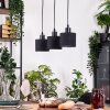 Bassagoda hanging light, pendant light Ecru, black, 3-light sources