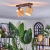 Bongal ceiling light, ceiling spotlight black, 2-light sources