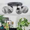 Chehalis ceiling light, globe light Smoke-coloured, 4-light sources