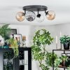 Chehalis ceiling light, globe light Amber, clear, Smoke-coloured, 4-light sources