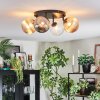 Chehalis ceiling light, globe light Amber, clear, Smoke-coloured, 4-light sources