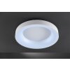 WOFI CAMERON Ceiling Light LED white, 1-light source, Remote control