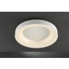 WOFI CAMERON Ceiling Light LED white, 1-light source, Remote control