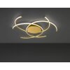 Wofi JULS Ceiling Light LED gold, 1-light source