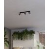 Eglo lights ROSLEY ceiling light, ceiling spotlight black, 3-light sources