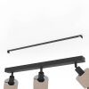 Eglo lights ROSLEY ceiling light, ceiling spotlight black, 3-light sources
