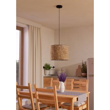 Eglo lights BUTTERBURN hanging light black, 1-light source