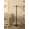 Eglo lights OXPARK floor lamp black, 1-light source