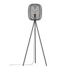 Eglo lights RINROE floor lamp black, 1-light source