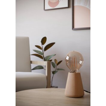 Eglo lights ASBY table lamp light brown, 1-light source