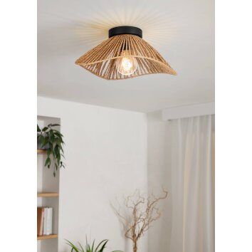 Eglo lights LAVISTER ceiling light, wall light black, 1-light source