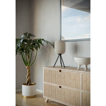 Eglo lights BELGRAVE table lamp black, 1-light source