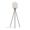 Eglo lights BELGRAVE floor lamp black, 1-light source